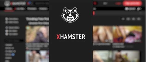 x hamaster live|How To Download From xHamster